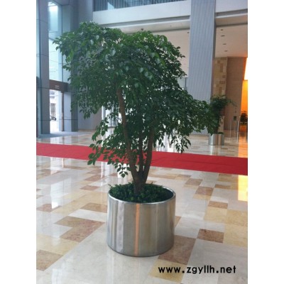 写字楼租绿植-武汉众芳园艺