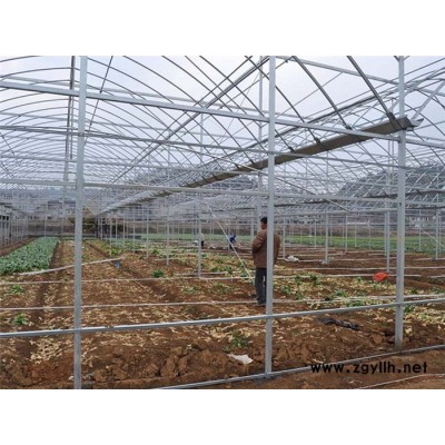 现代化薄膜温室-温室可实现自动化控制-现代化薄膜温室建造厂家