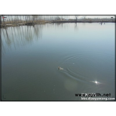 海竿打窝方法-湖北钓鱼王渔具