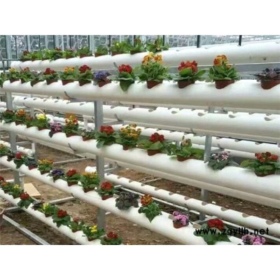 洋县花卉大棚-档次高的温室大棚建造-做花卉大棚