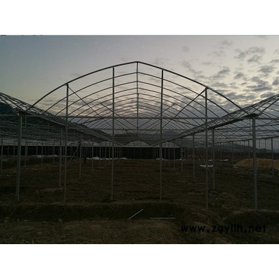 福州龙泰大棚定制(图)-防虫网工程-南平防虫网