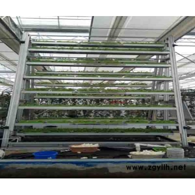 北京泓稷科技(图)-水动力旋转A字型叶菜种植报价-叶菜种植