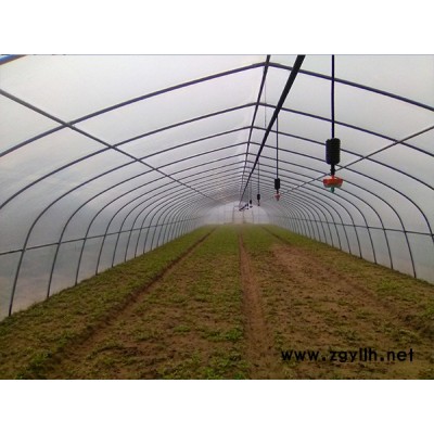 蔬菜大棚-龙岩大棚-福州龙泰蔬菜大棚搭建