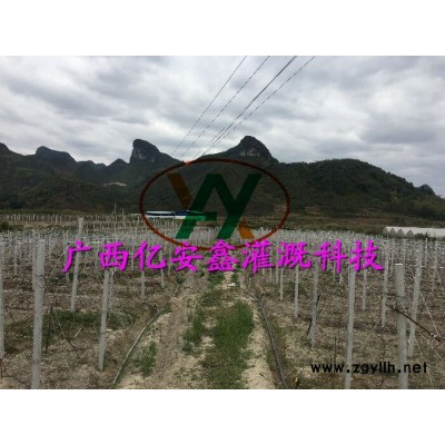 农业水肥一体化灌溉供应商-水肥一体化灌溉供应商-广西亿安鑫