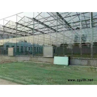 文洛式玻璃温室-档次高的温室大棚建造-怀安玻璃温室
