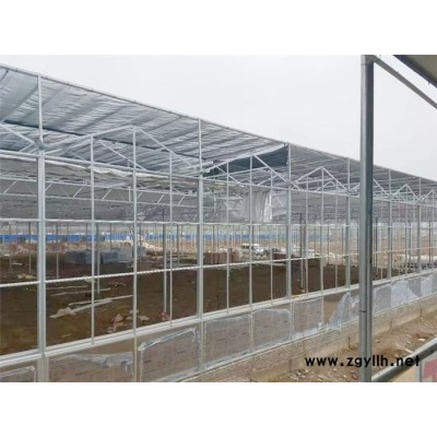 辽宁花卉大棚-温室可实现自动化控制-北方花卉大棚