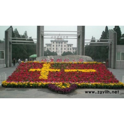 沌口租花电话