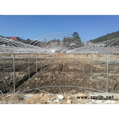 无土栽培技术-泉州无土栽培-福州龙泰蔬菜大棚搭建