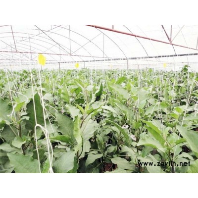 桥东区薄膜温室价格-承建薄膜温室价格-青州瀚洋农业