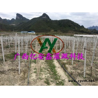 农业灌溉水带-贺州农业灌溉-广西亿安鑫