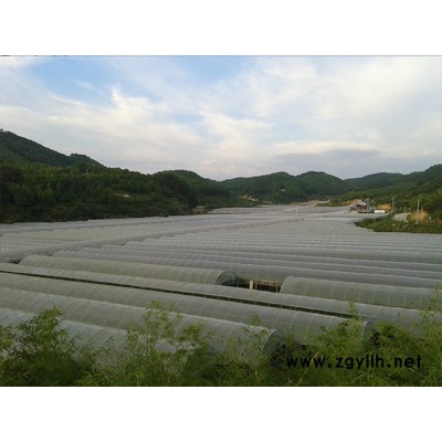 养殖大棚-泉州大棚-福州龙泰大棚定制(查看)