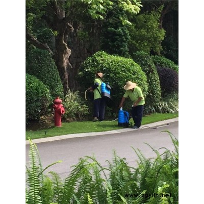 酒店杀虫灭鼠服务-东莞虎门杀虫灭鼠-植美生物科技(查看)图1