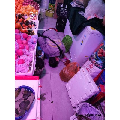 除苍蝇本地公司-润欧除虫费用-禄劝除苍蝇