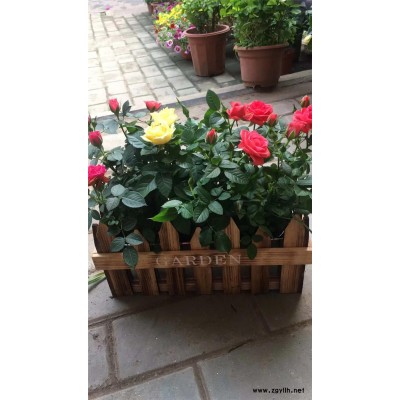 开业花篮价格-武汉开业花篮-美静园艺花卉租摆设计(查看)