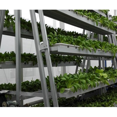 节能型立体栽培架厂家-北京泓稷科技公司-贵州节能型立体栽培架