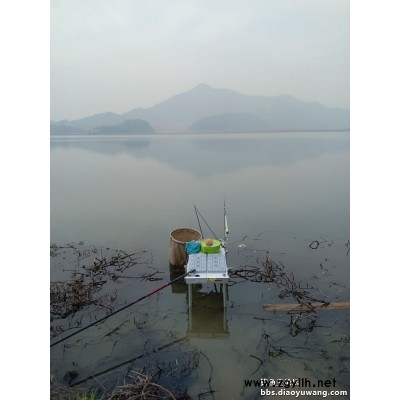 野钓打窝方法-湖北钓鱼王渔具公司