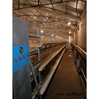 热镀锌鸡笼生产-运盈机械鸡笼生产厂家-热镀锌鸡笼