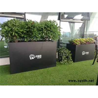 武汉绿植出租-武汉雅淳花卉(图)