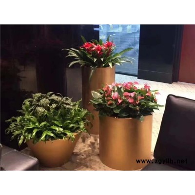 花卉租赁-雅淳花卉(在线咨询)-江夏花卉