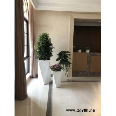 绿化养护费用-汉口绿化养护-雅淳花卉绿植租用