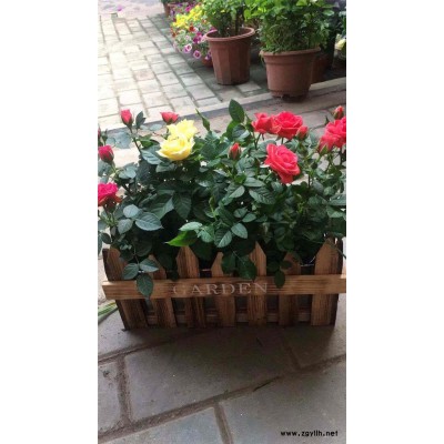 开业花篮预定-武昌开业花篮-美静园艺花卉租摆设计(查看)