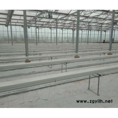 菊花栽培槽-北京泓稷科技-菊花栽培槽厂