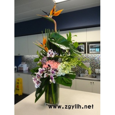 婚庆租花-汉阳租花-雅淳花卉出租