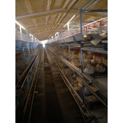 肉鸭笼生产厂-肉鸭笼-运盈机械厂家(查看)