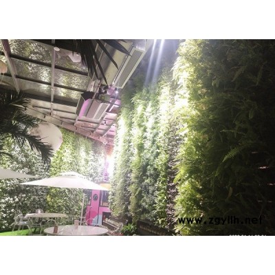 中兰林立体(图)-立体植物墙公司-湘潭植物墙