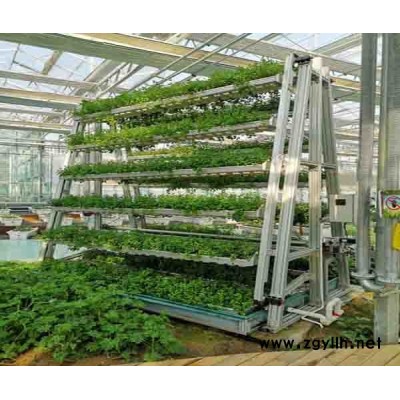 A字架种植塔哪里有「在线咨询」