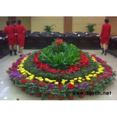 哪里有租花的-雅淳租花(图)