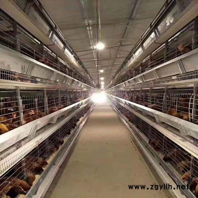 蛋鸡笼-运盈机械生产厂家-h型蛋鸡笼