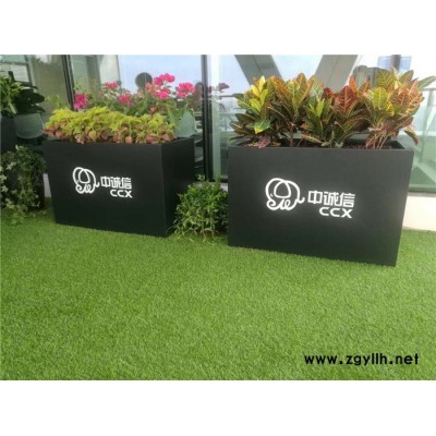 哪里有租花的-雅淳花卉租摆(图)