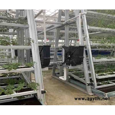 水动力旋转A字型叶菜种植哪家好