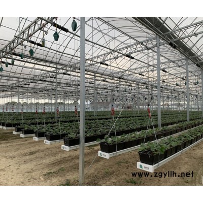 空中草莓无土种植槽哪里有-泓稷科技