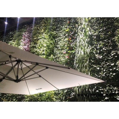 立体植物墙加盟费多少钱-植物墙-中兰林立体(查看)