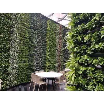 立体绿化-中兰林立体-城市立体绿化