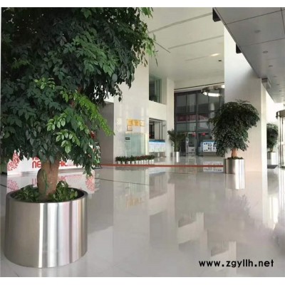 哪里有绿植出租-雅淳租花(图)