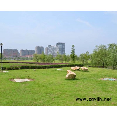 安徽绿化-别墅庭院绿化设计-百通生态环境(推荐商家)
