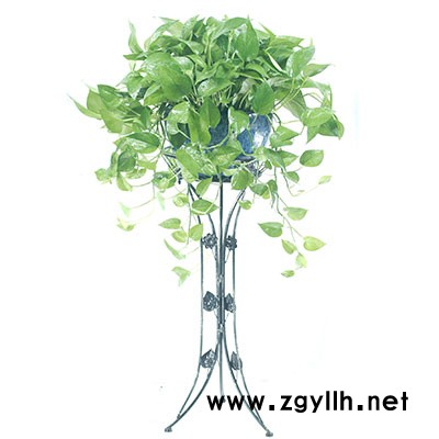 武汉绿植-武汉雅淳花卉-武汉植物出租