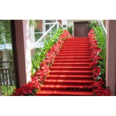 绿植花卉出租公司-光谷花卉出租-雅淳花卉绿植租用