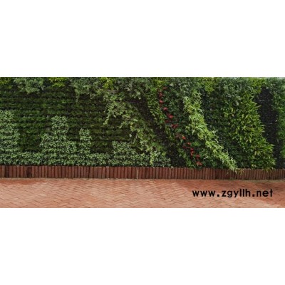 移动植物墙-中兰林立体-室内移动植物墙
