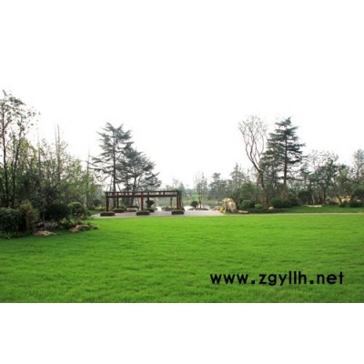 洪山公司绿化养护电话