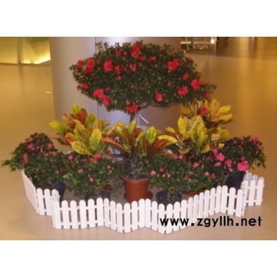 武汉花草植物出租电话「多图」