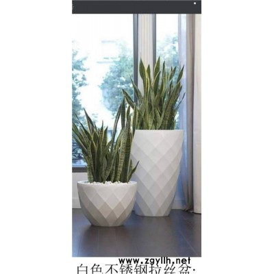 武汉绿植配送电话「多图」