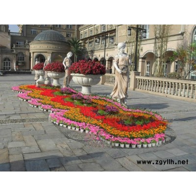 沌口租花-雅淳花卉