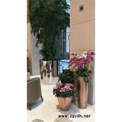 绿植花卉出租-武汉花卉出租-雅淳花卉绿植租用