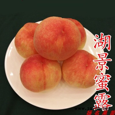 锦花黄桃苗价格-扬名苗木(在线咨询)-江西锦绣黄桃苗