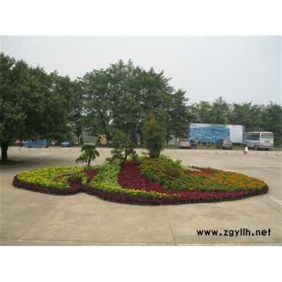 武汉花卉-花卉租摆价格-雅淳花卉(推荐商家)