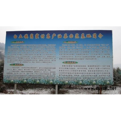 达州油茶树苗-油茶树苗什么品种好-油茶苗圃基地(推荐商家)